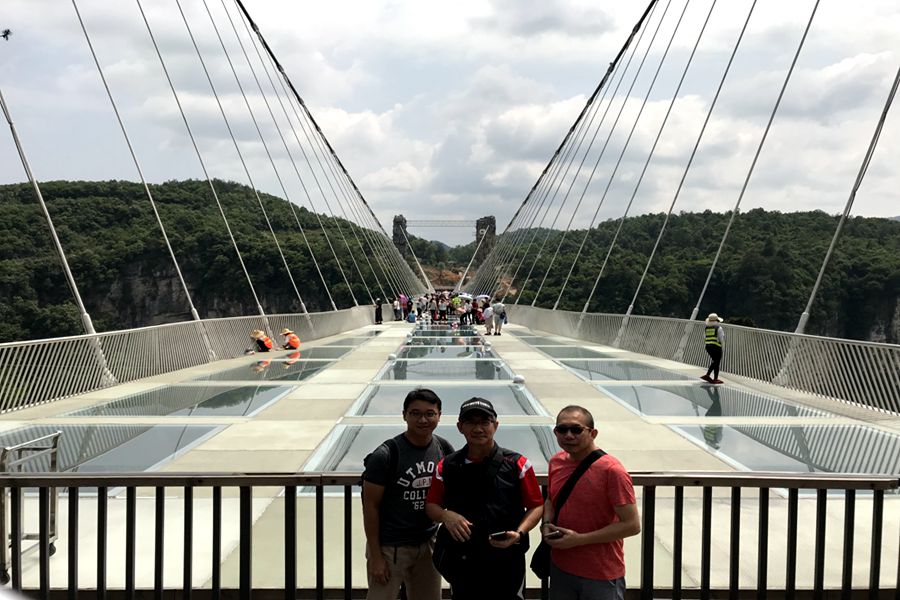 1 Day Flying Above Clouds Tour-Zhangjiajie Grand Canyon Glass Bridge