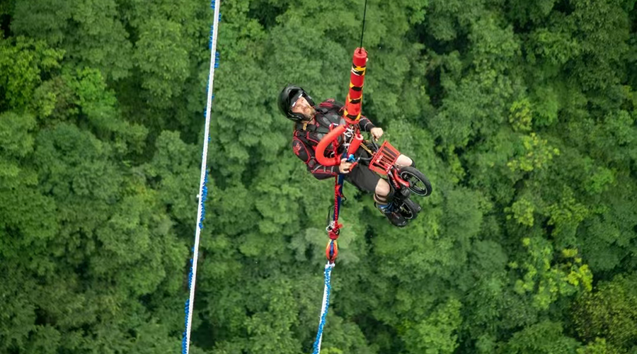 Bungee Jump Swing Above Treetops