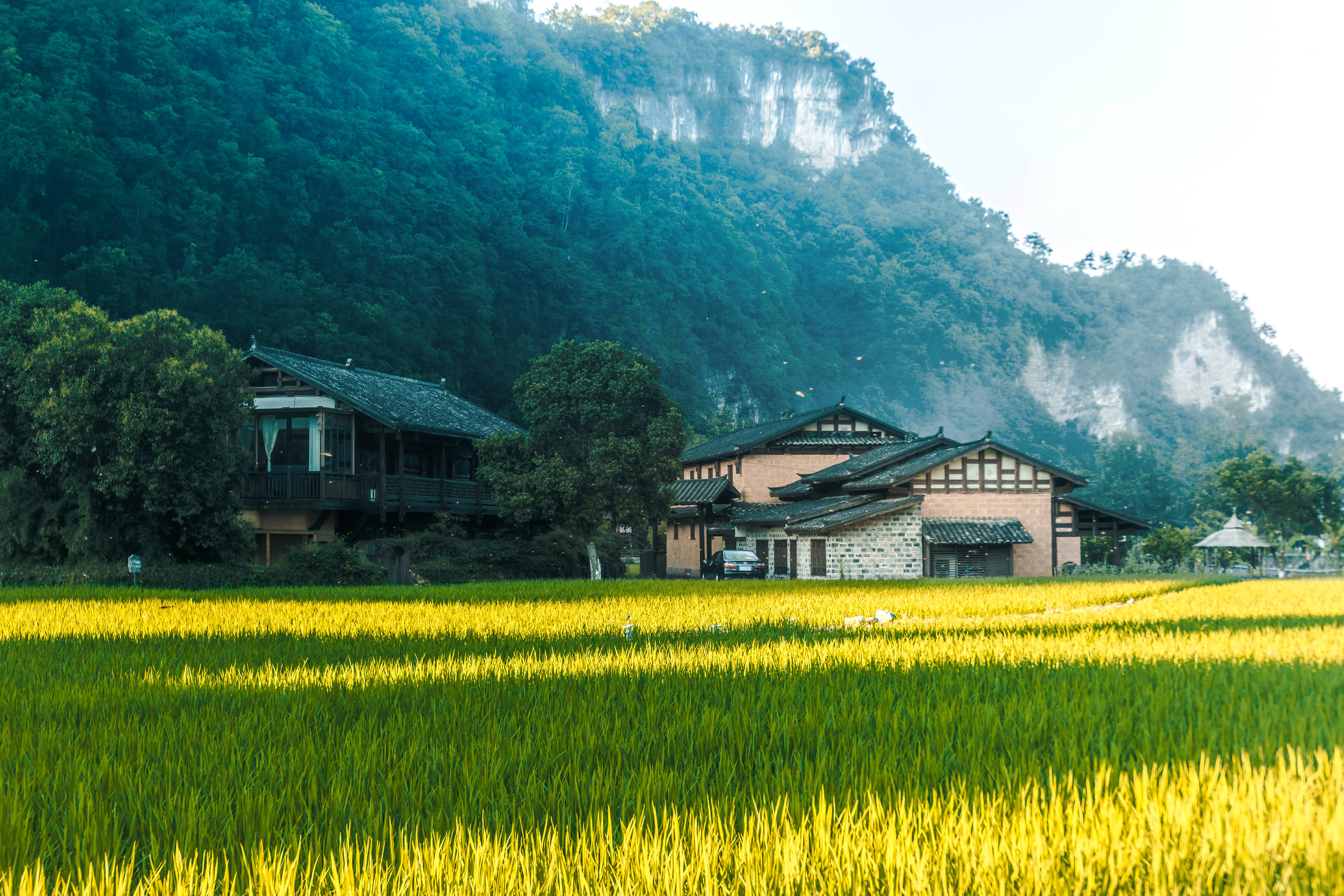 Ecological Square - Yellow Dragon Cave