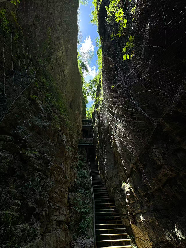 One-Line Sky of the Canyon