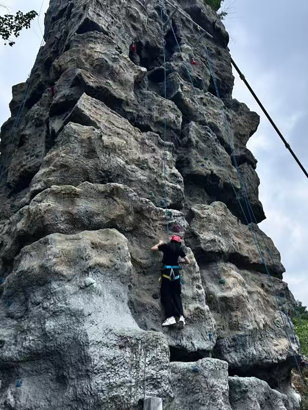 Rock Climbing Wall with Different Difficulty Levels
