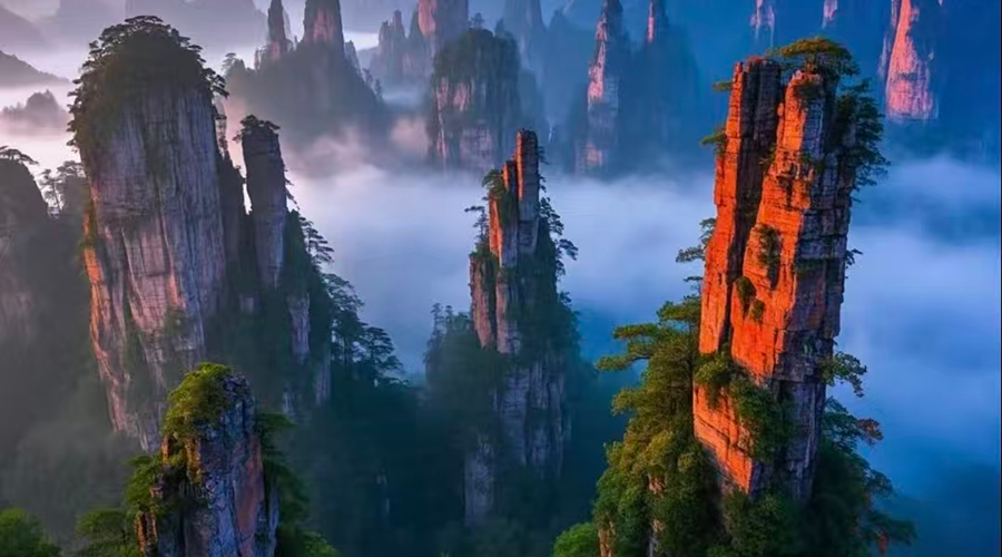 1-Day Private Tour to Zhangjiajie National Park