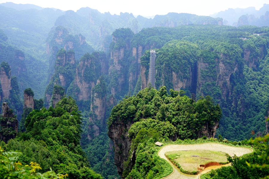 Travel guide to Zhangjiajie National Forest Park