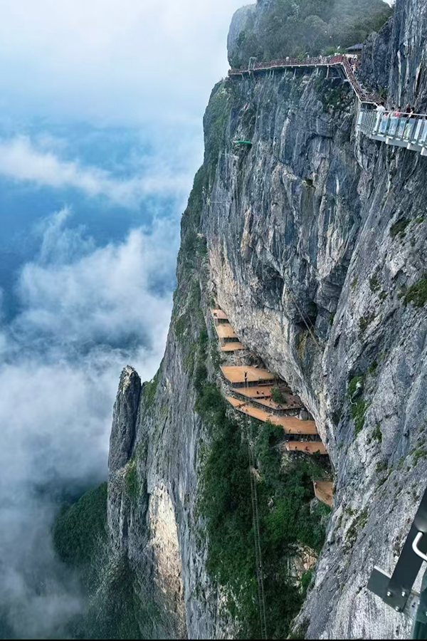 Karst and Forest Symbiosis