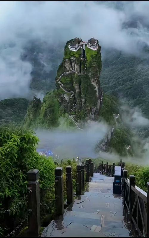 Panoramic view of Fanjing Mountain with lush forests and majestic peaks