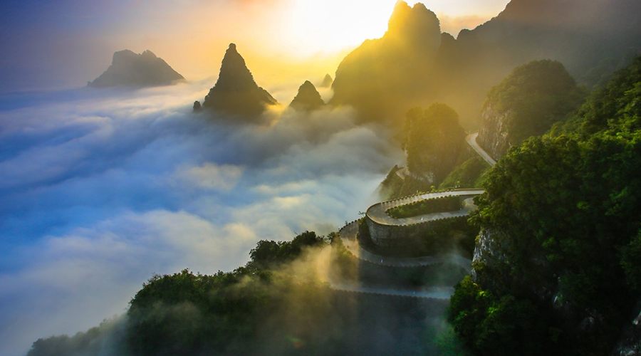 Avenue to Heaven - Winding Road with 99 Hairpin Turns