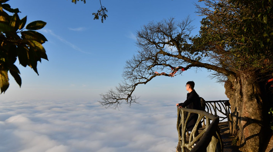Tianmen Mountain Sea of Clouds - Peaks in Mist