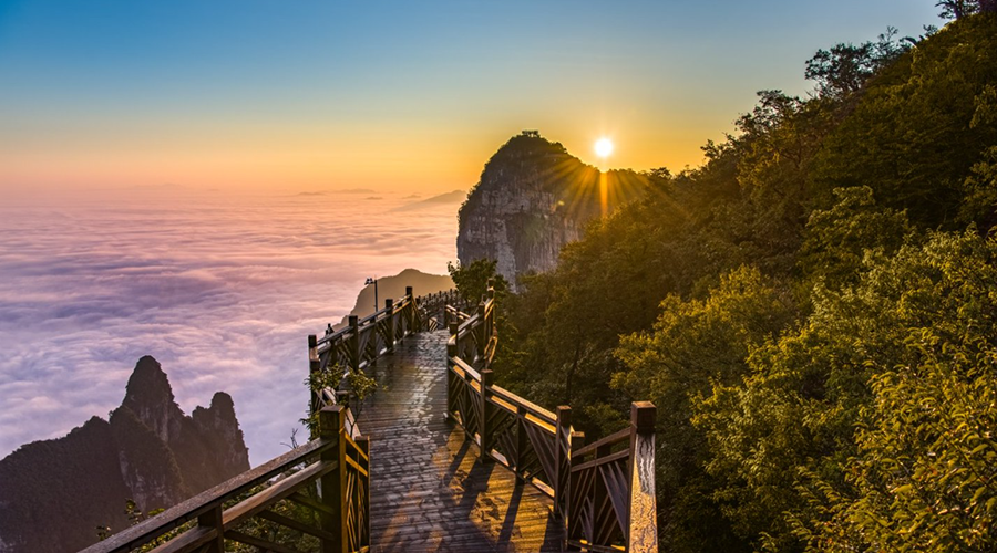 Aerial Corridor - 360° Glass Platform