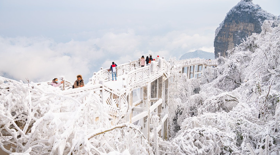 Tianmen Mountain Winter Silver Kingdom - Rime Covered Pines