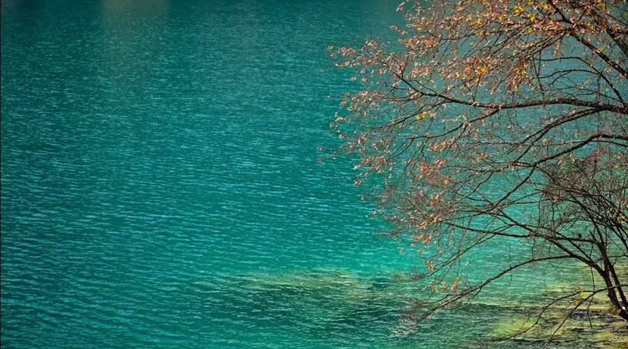 Breathtaking Waters of Jiuzhaigou
