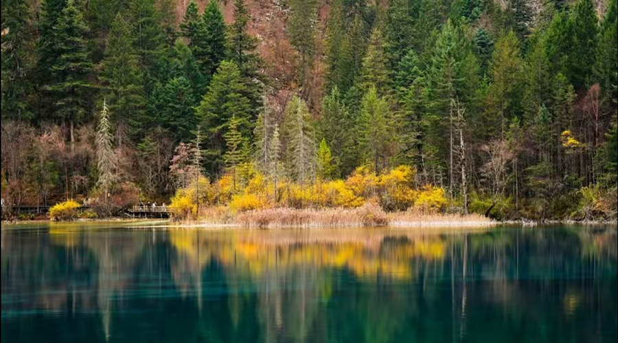 Five-Flower Lake with colorful water and surrounding forests